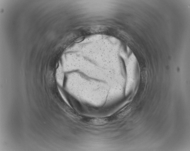 X0000070830327200607071748