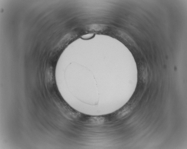 X0000070830328200607071748