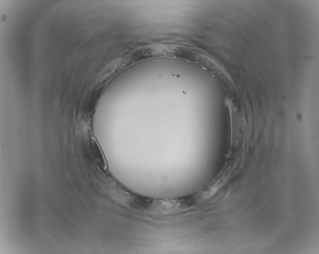 X0000070830329200607071748