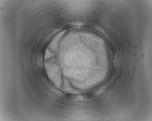 X0000070830330200607071748