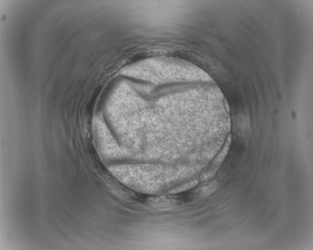 X0000070830331200607071748