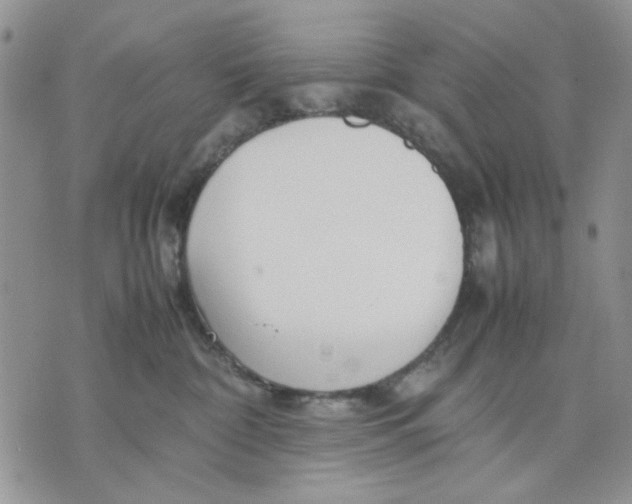 X0000070830332200607071748