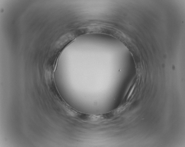 X0000070830333200607071748