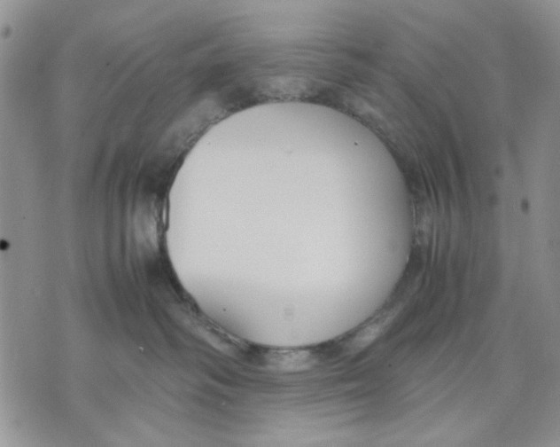 X0000070830334200607071748