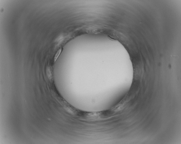 X0000070830335200607071748