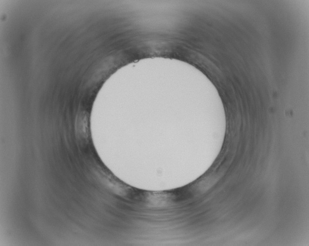 X0000070830336200607071748