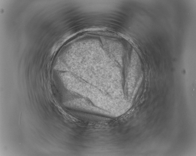 X0000070830337200607071747