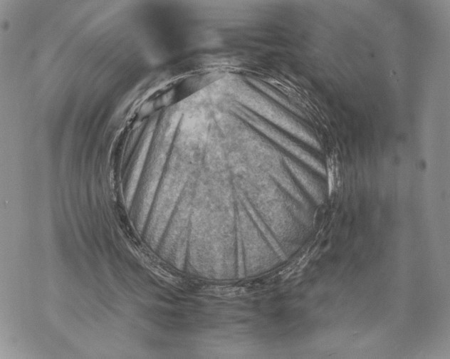 X0000070830339200607071747