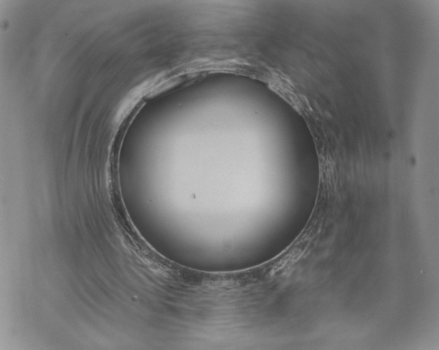 X0000070830340200607071747