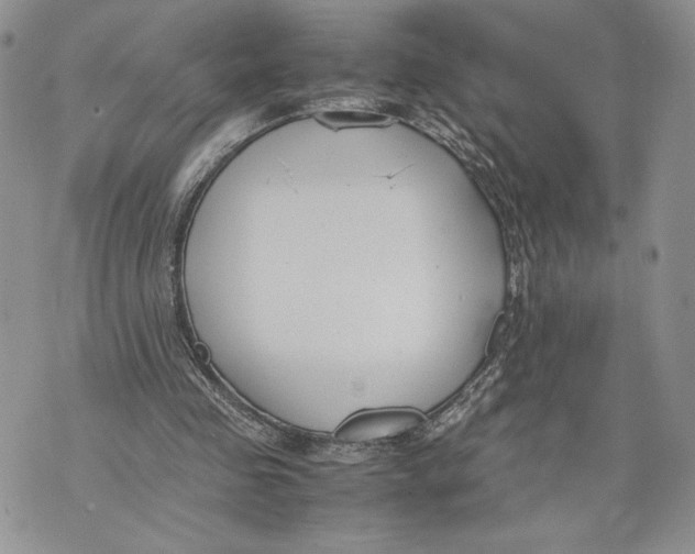 X0000070830341200607071747