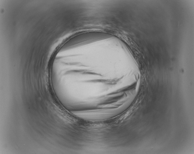 X0000070830342200607071747