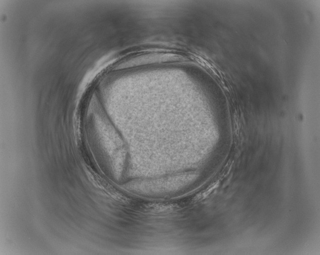 X0000070830343200607071747