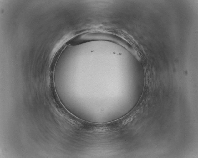 X0000070830344200607071747