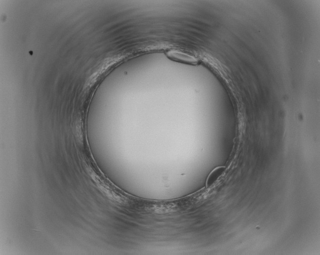 X0000070830345200607071747