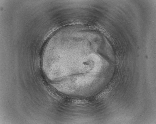 X0000070830347200607071747