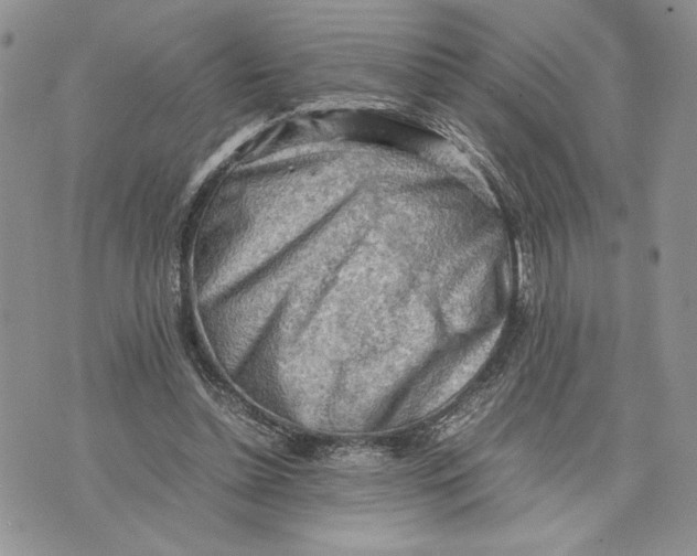 X0000070830348200607071747