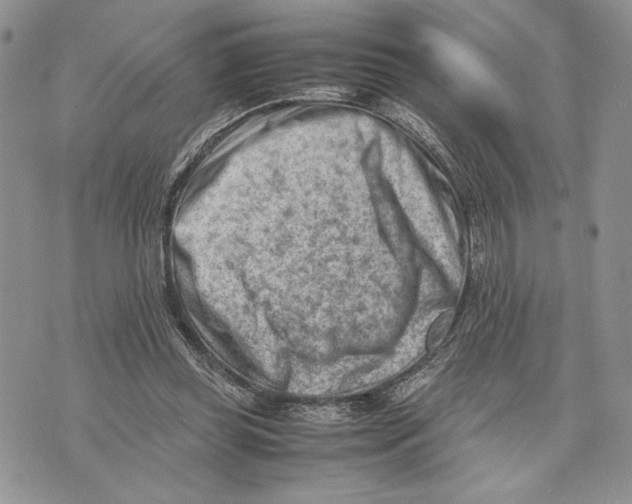 X0000070830349200607071747