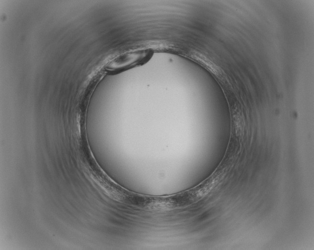 X0000070830350200607071747