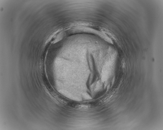 X0000070830352200607071747