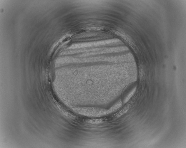 X0000070830353200607071747