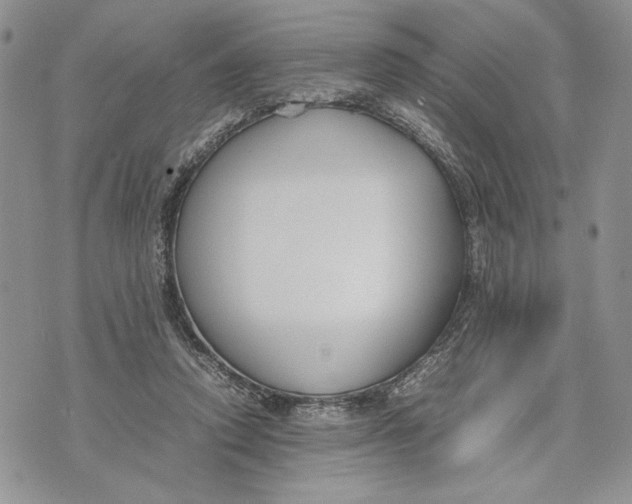 X0000070830354200607071747