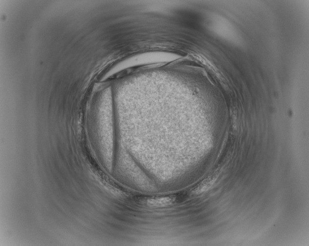 X0000070830357200607071747