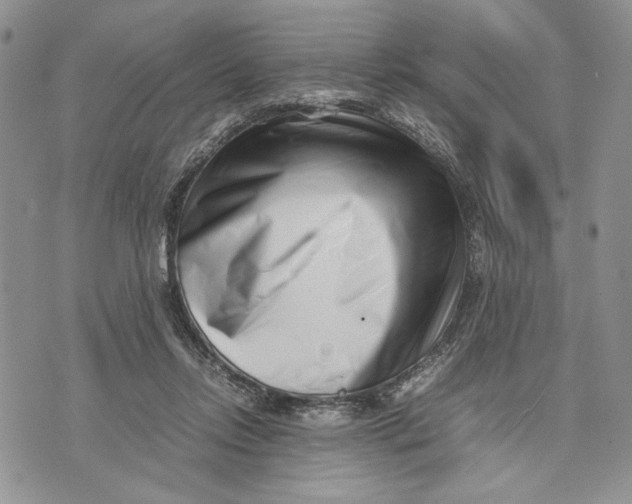 X0000070830358200607071747