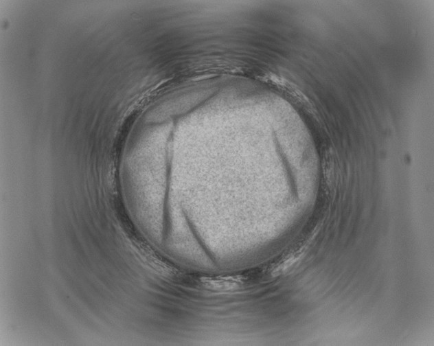 X0000070830359200607071747