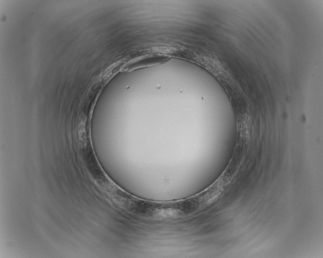 X0000070830360200607071747