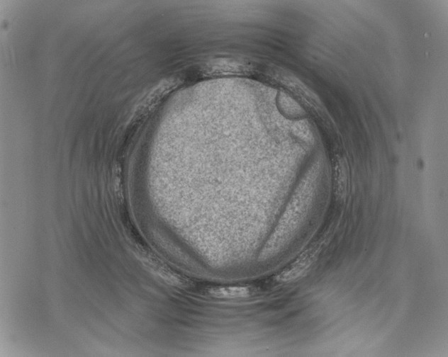 X0000070830361200607071747