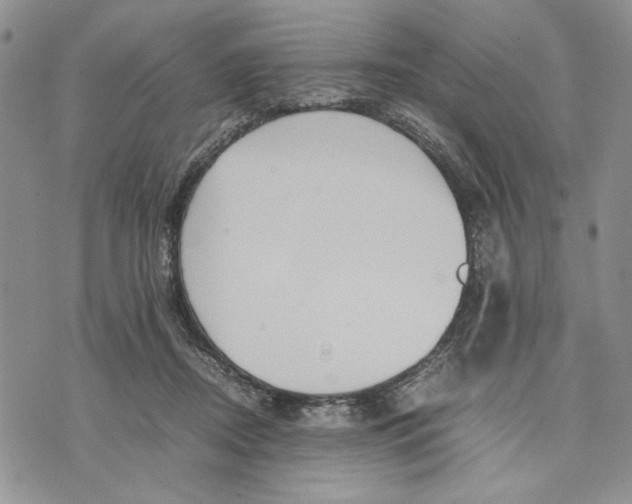 X0000070830362200607071747