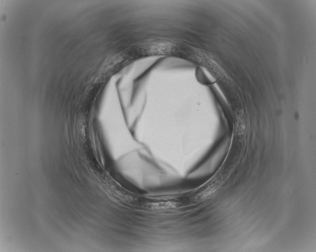 X0000070830363200607071747