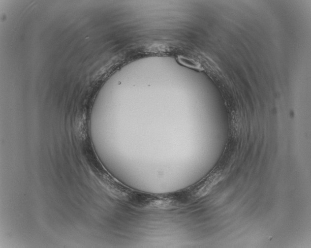 X0000070830364200607071747