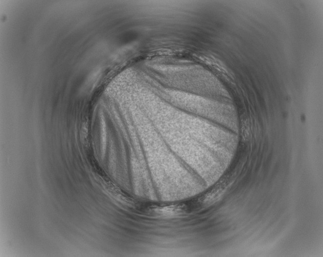 X0000070830365200607071747