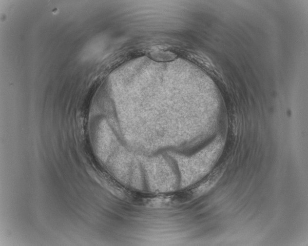 X0000070830366200607071747