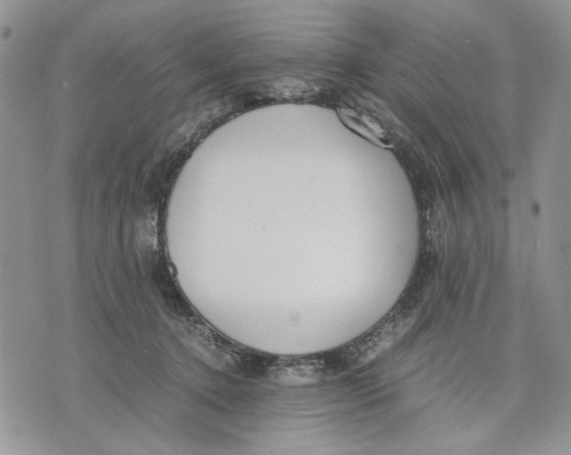 X0000070830368200607071747