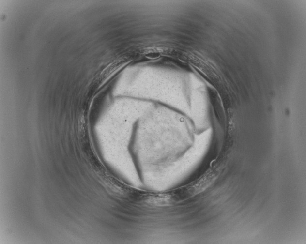 X0000070830369200607071747