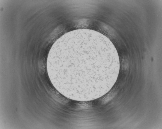 X0000070830370200607071747