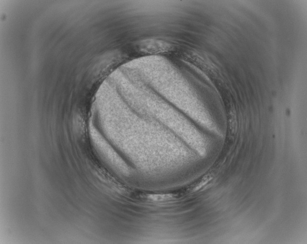 X0000070830371200607071747