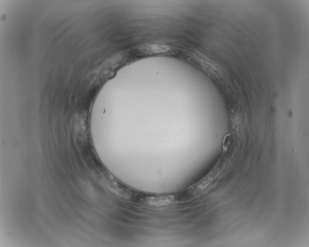 X0000070830373200607071747