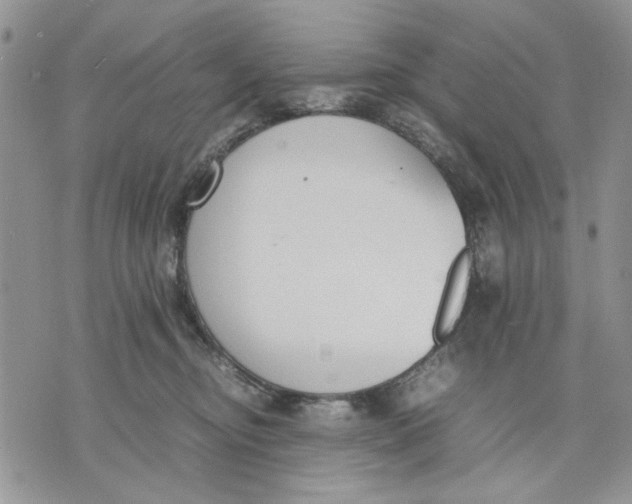 X0000070830374200607071748