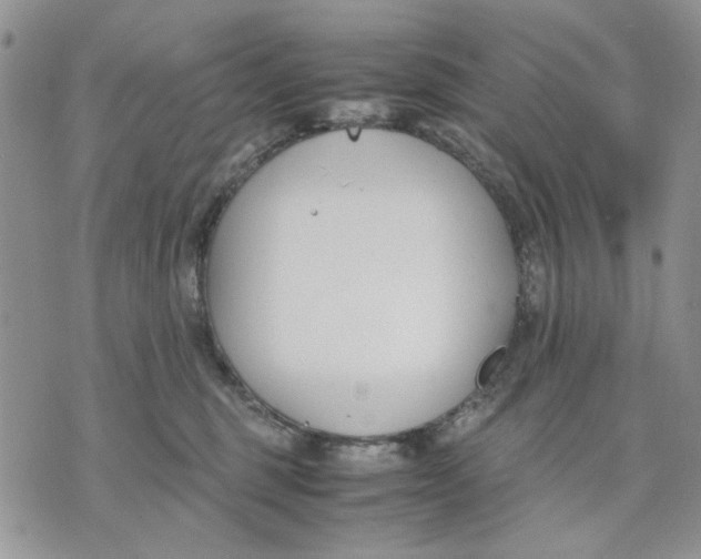 X0000070830375200607071748