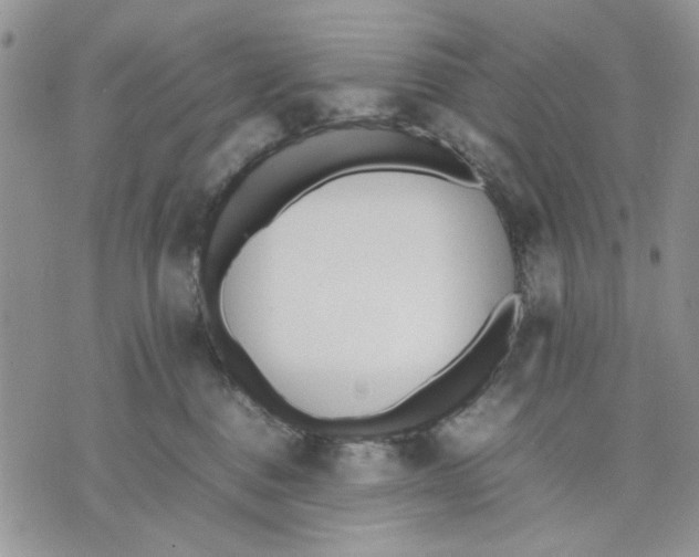 X0000070830376200607071748