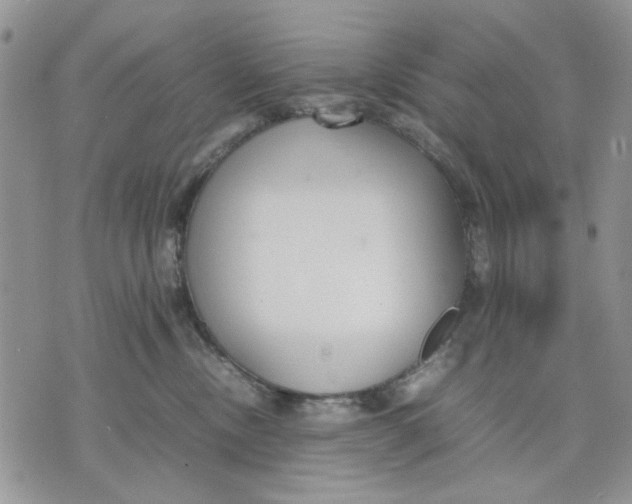 X0000070830378200607071748