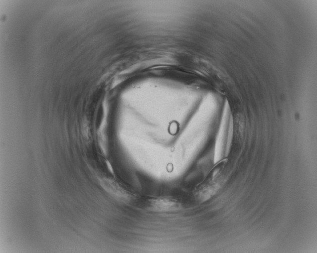 X0000070830380200607071748