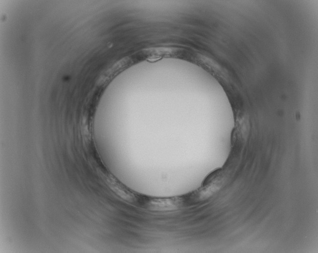 X0000070830381200607071748