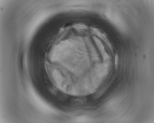 X0000070830383200607071748