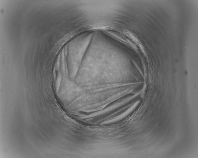 X0000070830385200607071747