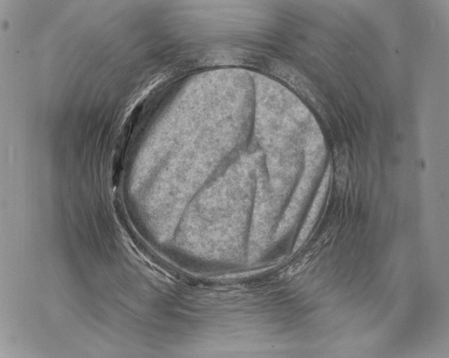 X0000070830386200607071747