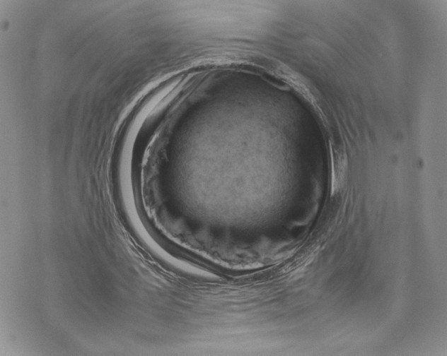 X0000070830387200607071747